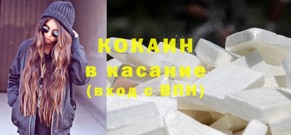 твердый Алексин