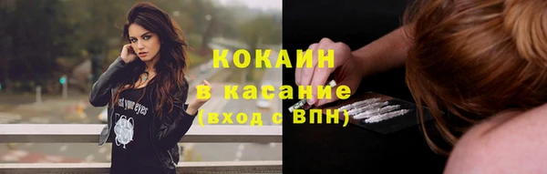 твердый Алексин
